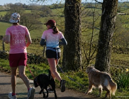The reality of sustainability in teamwear: beyond the buzzwords